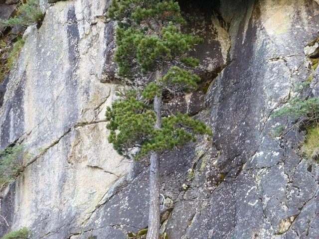 Resiliencia: la capacidad de transformarnos ante la adversidad